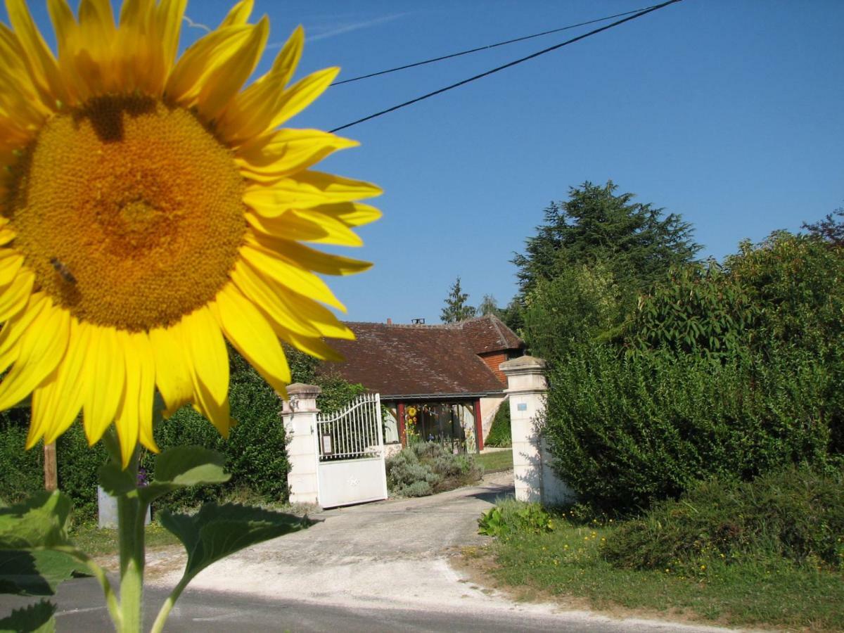 مبيت وإفطار Chambourg-sur-Indre Le Clos Du Petit Marray المظهر الخارجي الصورة